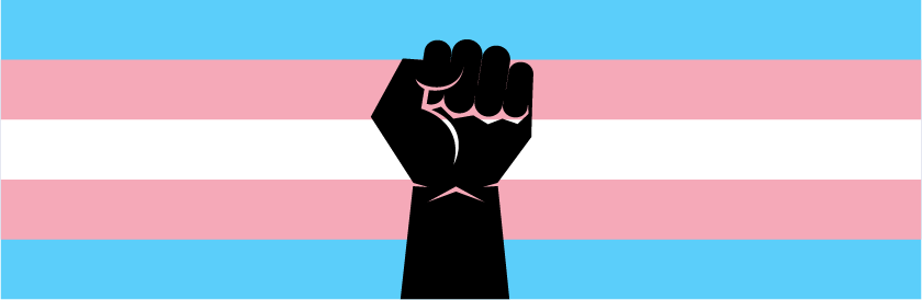 TransPride Flag